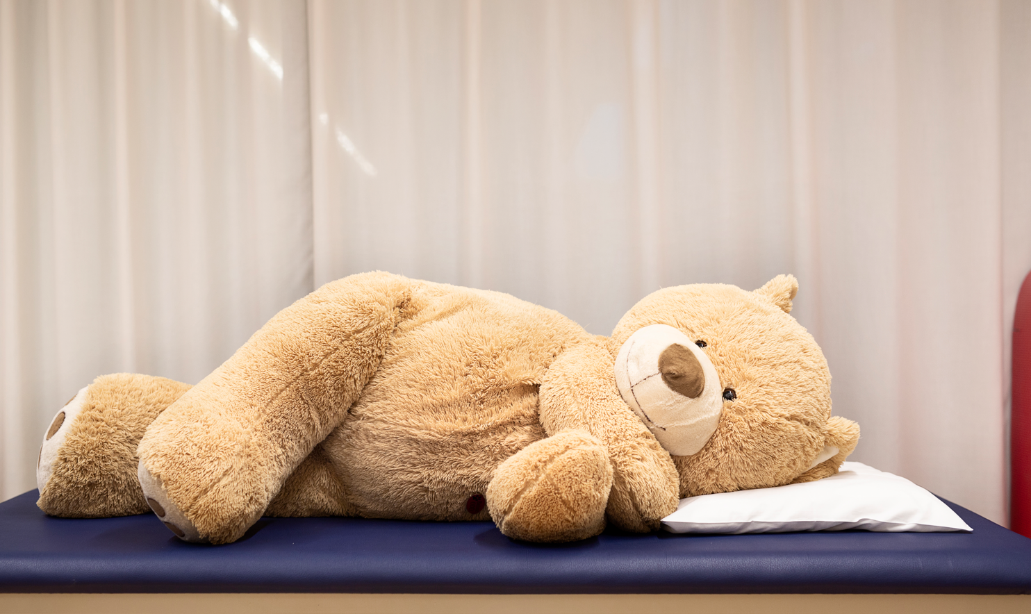 Et par bamser sitter på et bord