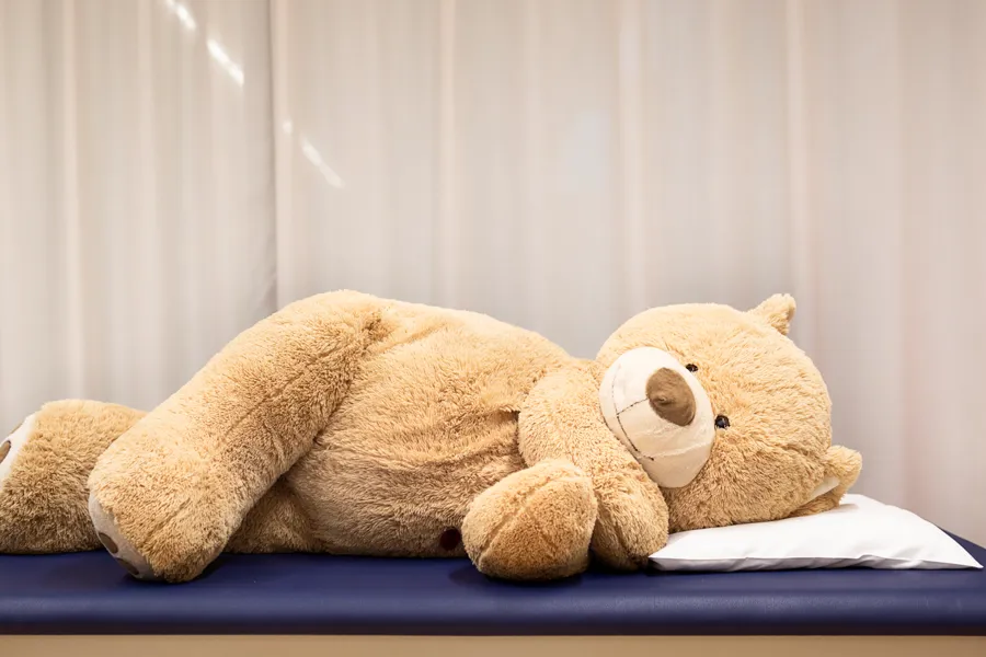 Et par bamser sitter på et bord