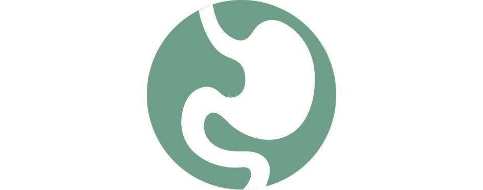 Magesekk. Hvit grafikk på grønn bakgrunn.