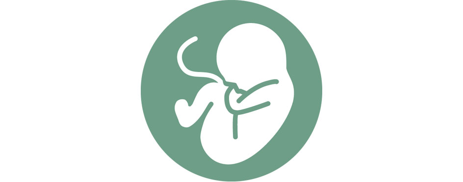 Emblem trygg fødsel. Grafikk at hvitt foster på grønn bakgrunn.