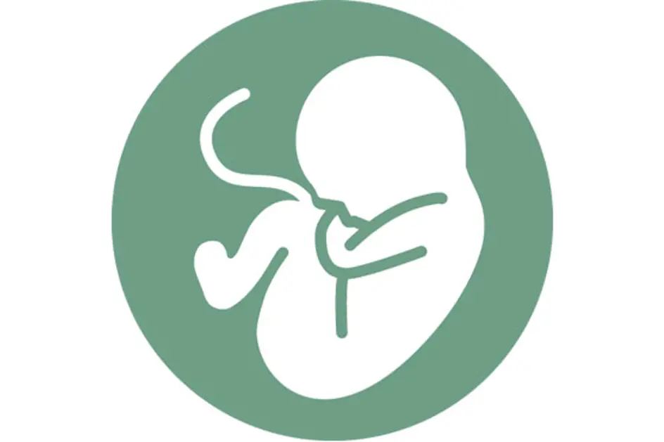 Emblem trygg fødsel. Grafikk at hvitt foster på grønn bakgrunn.