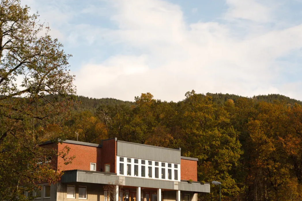 En bygning med trær på baksiden